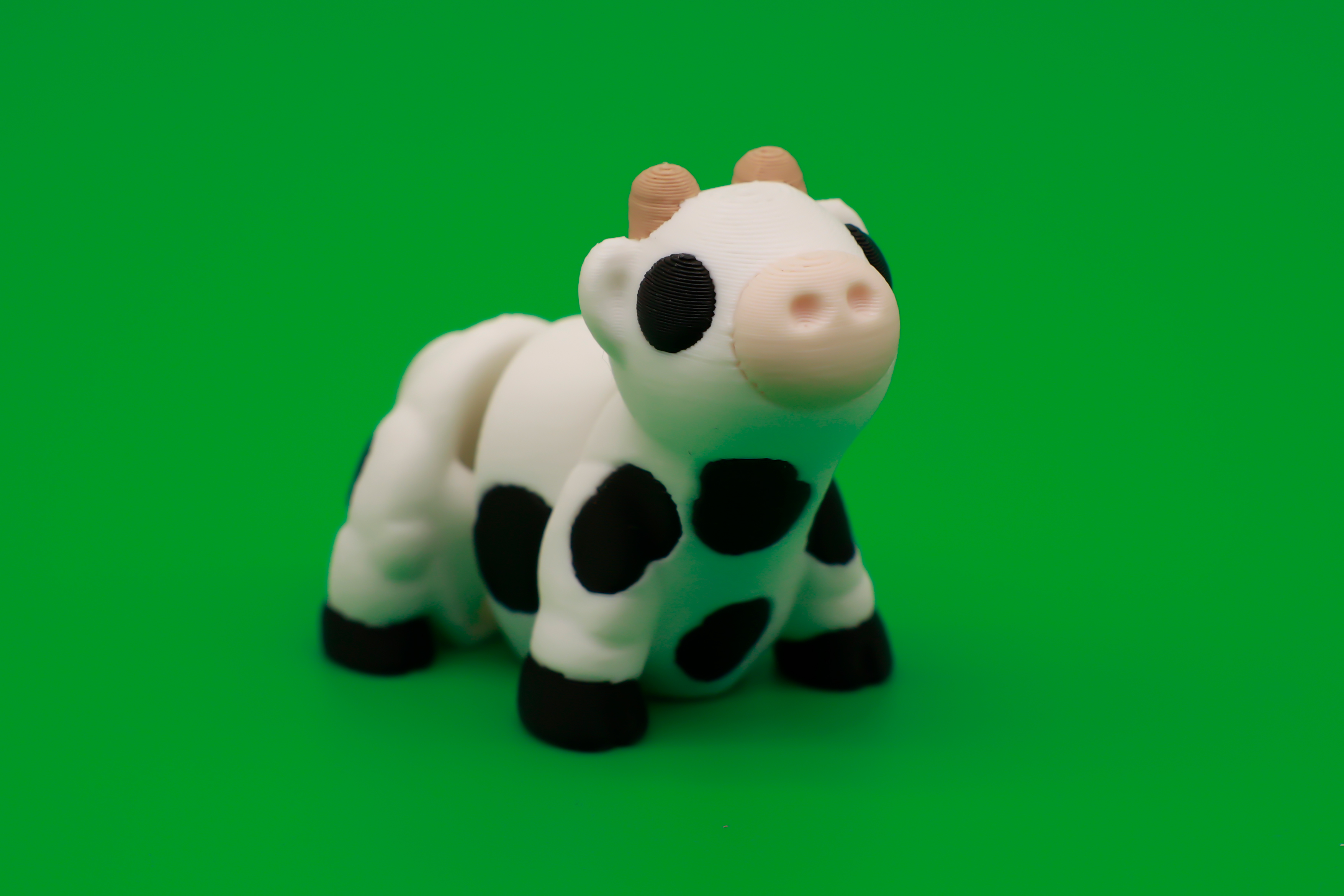 Cow